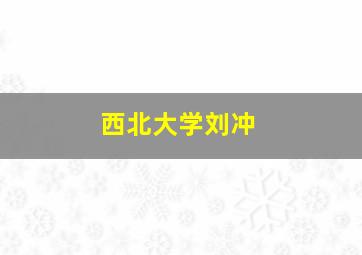 西北大学刘冲