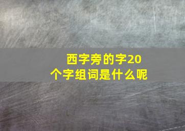 西字旁的字20个字组词是什么呢