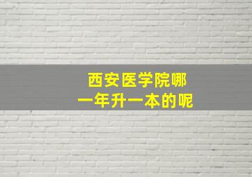 西安医学院哪一年升一本的呢