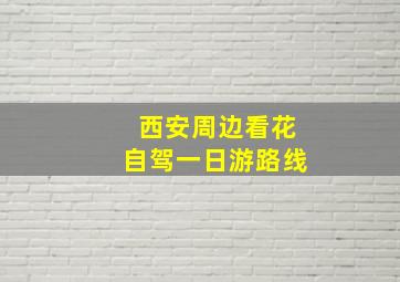 西安周边看花自驾一日游路线