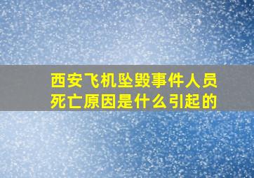 西安飞机坠毁事件人员死亡原因是什么引起的