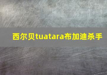 西尔贝tuatara布加迪杀手