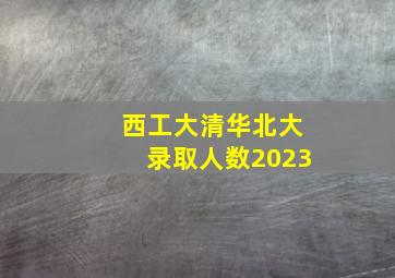 西工大清华北大录取人数2023