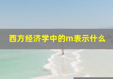 西方经济学中的m表示什么