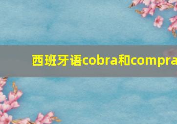 西班牙语cobra和compra