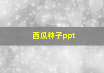 西瓜种子ppt