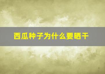 西瓜种子为什么要晒干