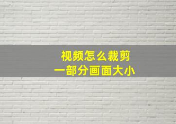 视频怎么裁剪一部分画面大小