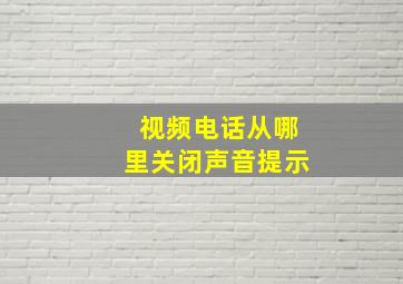 视频电话从哪里关闭声音提示