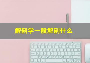 解剖学一般解剖什么