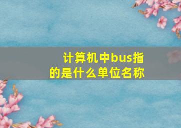 计算机中bus指的是什么单位名称