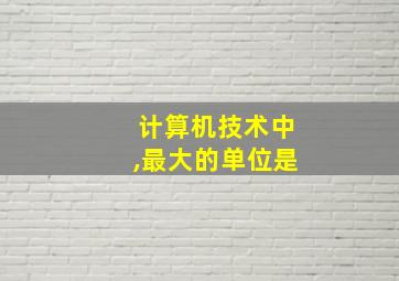 计算机技术中,最大的单位是