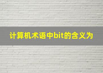 计算机术语中bit的含义为