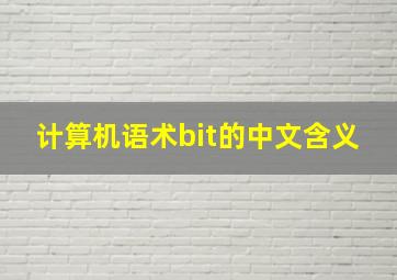 计算机语术bit的中文含义