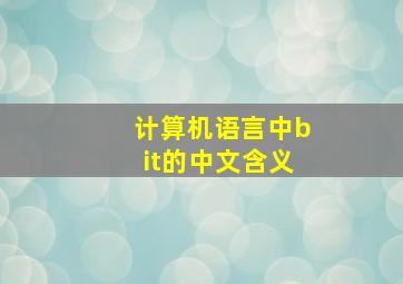 计算机语言中bit的中文含义