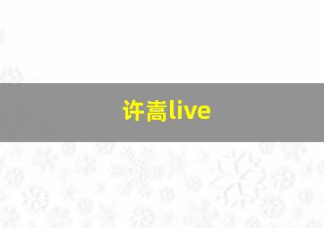 许嵩live