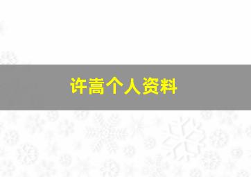 许嵩个人资料