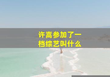 许嵩参加了一档综艺叫什么