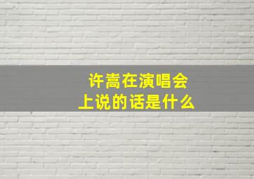 许嵩在演唱会上说的话是什么