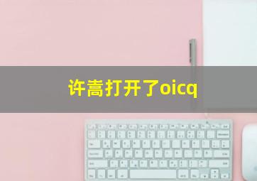 许嵩打开了oicq