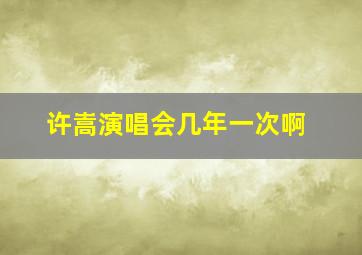 许嵩演唱会几年一次啊