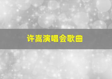 许嵩演唱会歌曲