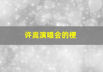 许嵩演唱会的梗