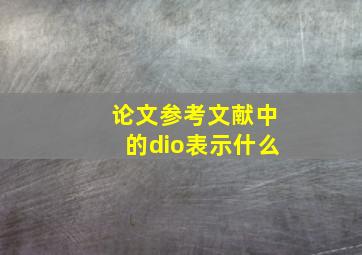 论文参考文献中的dio表示什么