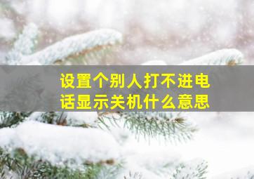 设置个别人打不进电话显示关机什么意思