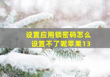 设置应用锁密码怎么设置不了呢苹果13