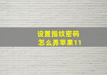 设置指纹密码怎么弄苹果11