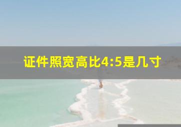 证件照宽高比4:5是几寸