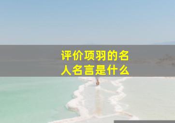 评价项羽的名人名言是什么