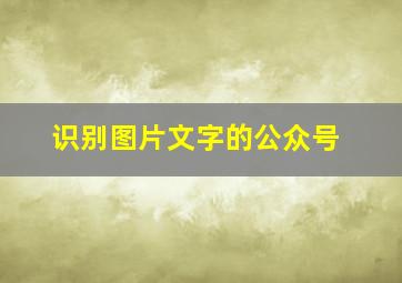 识别图片文字的公众号