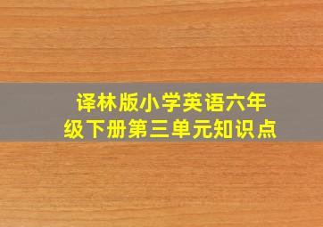 译林版小学英语六年级下册第三单元知识点