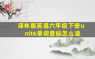 译林版英语六年级下册unit6单词音标怎么读