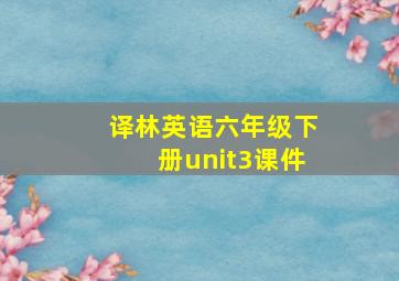 译林英语六年级下册unit3课件