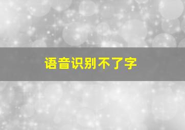 语音识别不了字