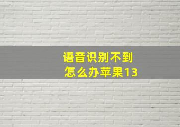 语音识别不到怎么办苹果13