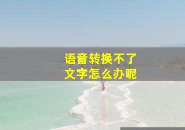 语音转换不了文字怎么办呢