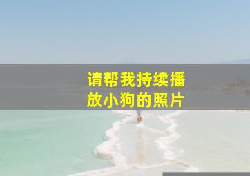 请帮我持续播放小狗的照片