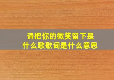 请把你的微笑留下是什么歌歌词是什么意思