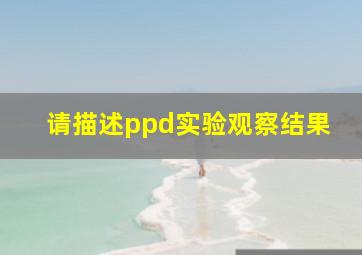 请描述ppd实验观察结果