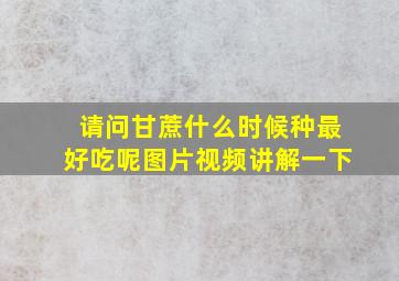 请问甘蔗什么时候种最好吃呢图片视频讲解一下