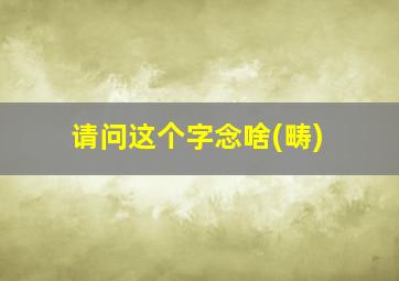 请问这个字念啥(畴)