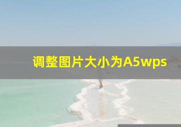 调整图片大小为A5wps