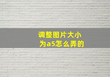 调整图片大小为a5怎么弄的