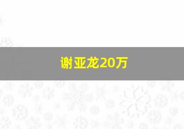 谢亚龙20万