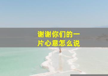 谢谢你们的一片心意怎么说