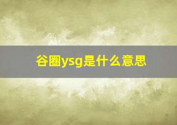 谷圈ysg是什么意思